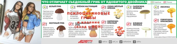 дмт Алексеевка