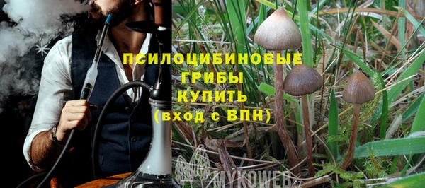 таблы Алзамай
