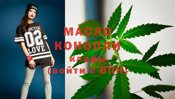 дмт Алексеевка