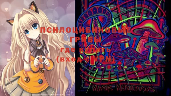 МДПВ Алексин