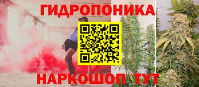 гашиш Канаш