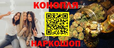 стафф Камышлов