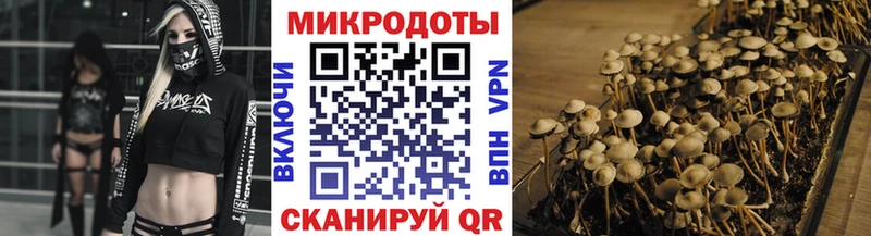 Галлюциногенные грибы Magic Shrooms что такое Луга